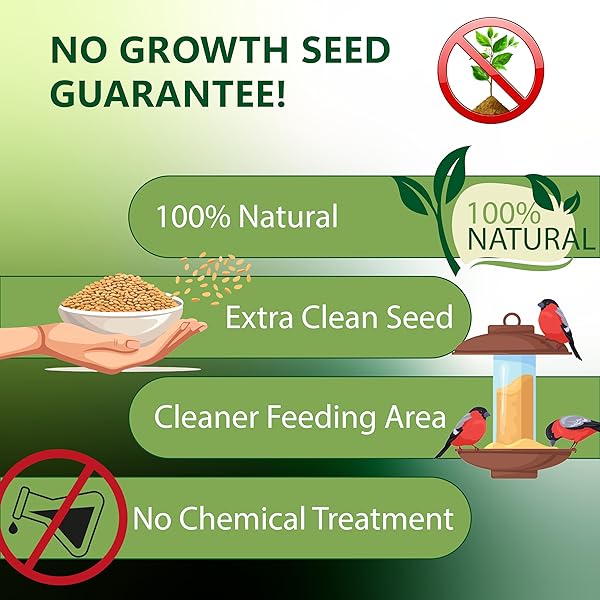 HAPPY WINGS NYJER/THISTLE SEEDS WILD BIRD FOOD – 5 POUNDS I NO GROW SEED I BIRD SEED FOR WILD BIRDS