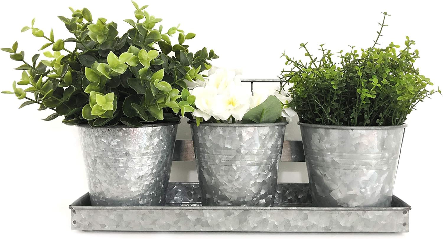 Best Vintage Indoor Herb Garden Jar