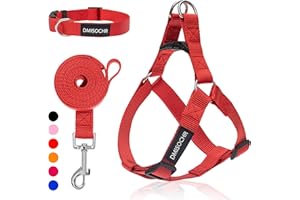 IPRAVOCI No Pull Dog Harness - Adjustable Step-in Harness & Leash Set for Small, Medium, Large Dogs - Escape Proof Soft Pet Harness for Walking, Training, Hiking, Outdoor Activities