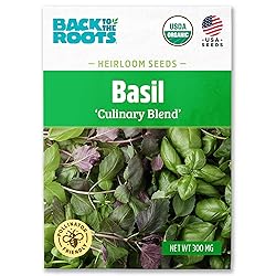 Seed Packet - Basil 'Culinary Blend' 300mg