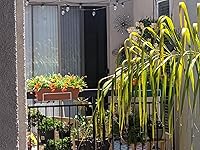 Review Image by P OS
