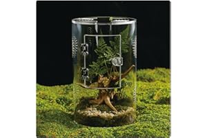 LIZ QNNALY Acrylic Terrarium for Reptiles & Spiders – Small/Medium/Large Leak-Proof Enclosure (Horizontal/Vertical) | Ideal for Tarantulas, Jumping Spiders, Frogs & Geckos(Medium Round)