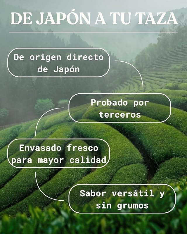 Matcha Japonés Premium Bio en Polvo L-Teanina