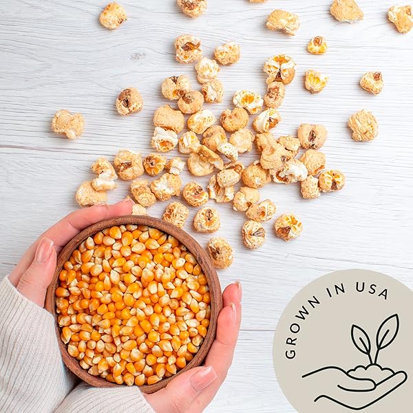 YELLOW ORGANIC POPCORN KERNELS (4.8LB) – UNCOOKED CORN BULK GREAT FOR MOVIE NIGHT – HEALTHY MICROWAVE SNACKS IDEAL FOR POPPING – USA GROWN | USDA CERTIFIED | VEGAN | NON-GMO