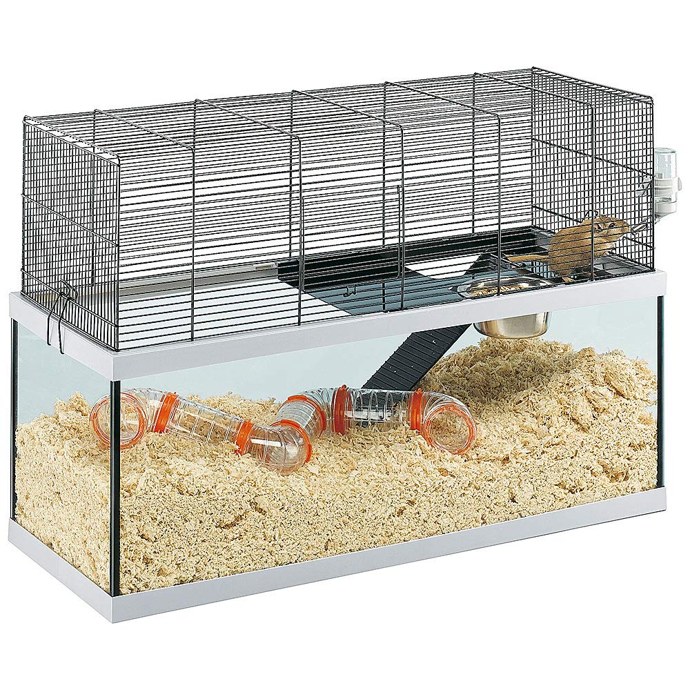 gerbil glass tank