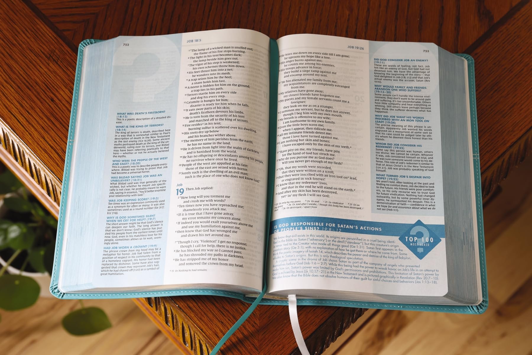 NIV, Quest Study Bible, Leathersoft, Teal, Comfort Print: The Only Q and A Study Bible