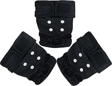 paw paw reusable diapers price