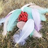 TYEQWT 400 Pcs Morandi Light Feathers for Crafts, Wedding Ornament, Mask view 8