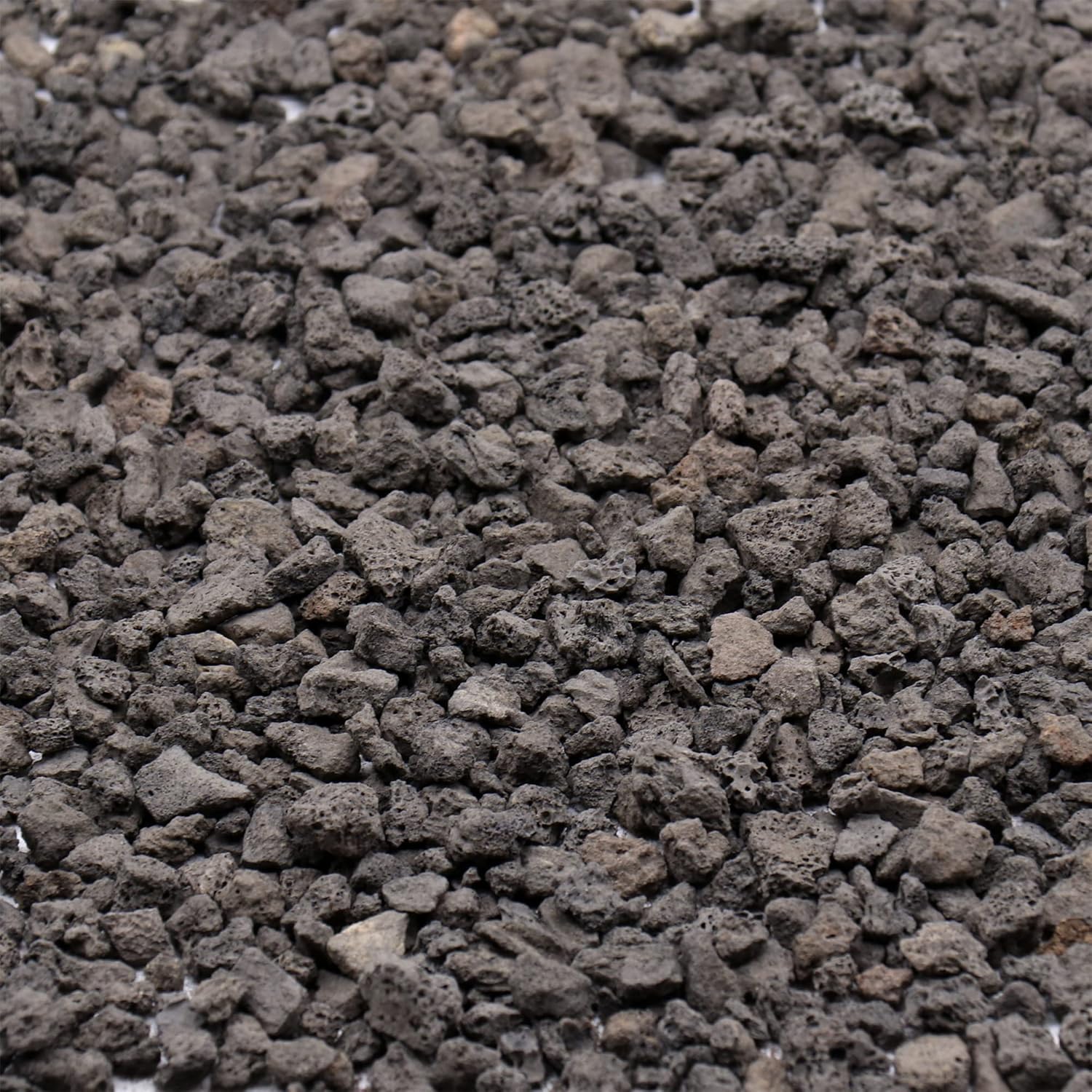 Hardscaping Materials - Premium Pebbles Volcanic Rock for Plants. Black Lava Rock. 1/5 Inch - 2 lbs for Potting Soil, Succulents, Pots, Plants, Indoor, Crafting, Vase Fillers (Mini (0.2 Inch), Horticultural - Black Lava, 2)