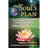 Your Soul's Plan: Discovering the Real Meaning of the Life You Planned Before You Were Born