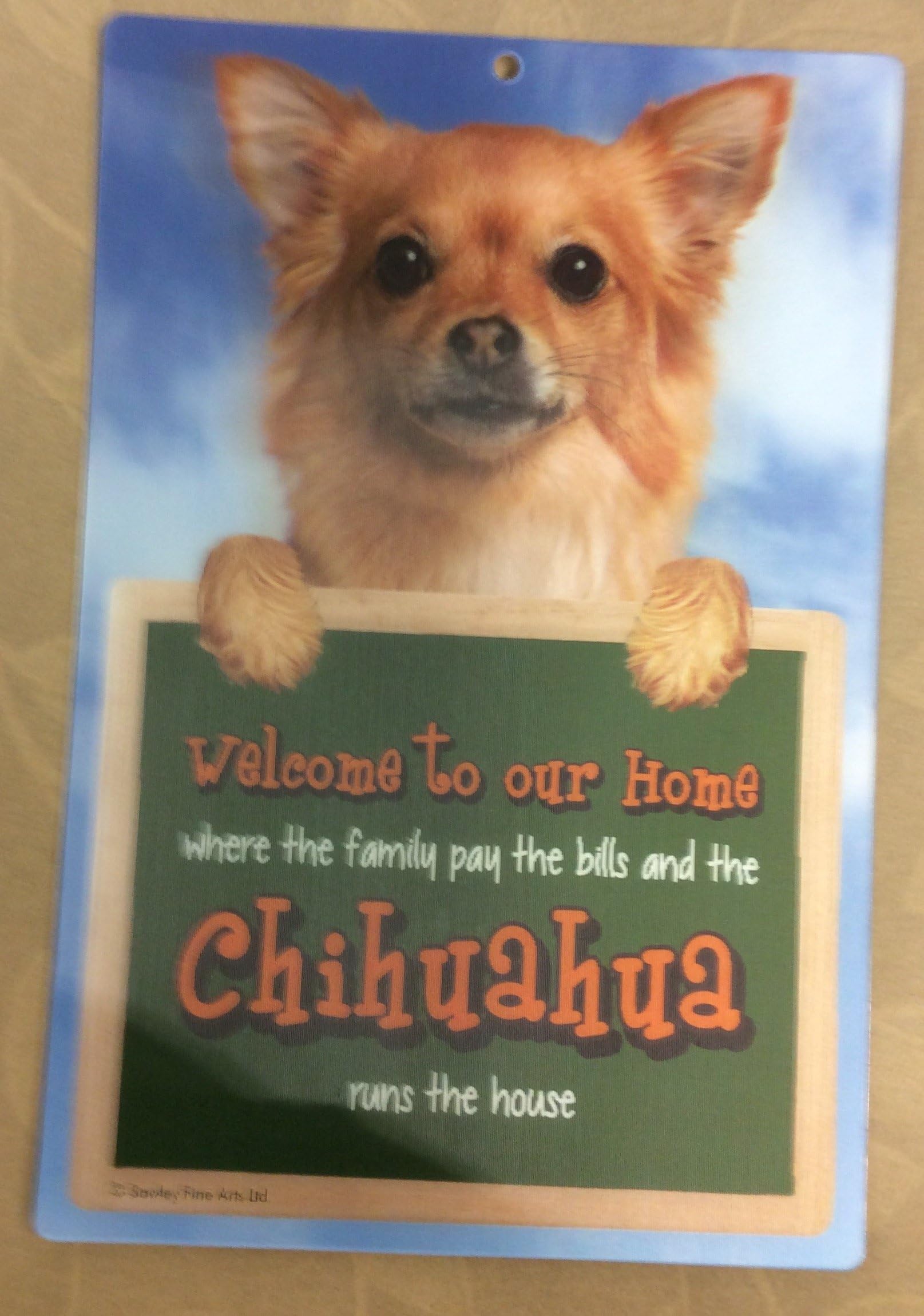 3D CHIHUAHUA LONG HAIR DOG WELCOME SIGN STUNNING EYE CATCHING 23CM X 15CM DURABLE SIGN