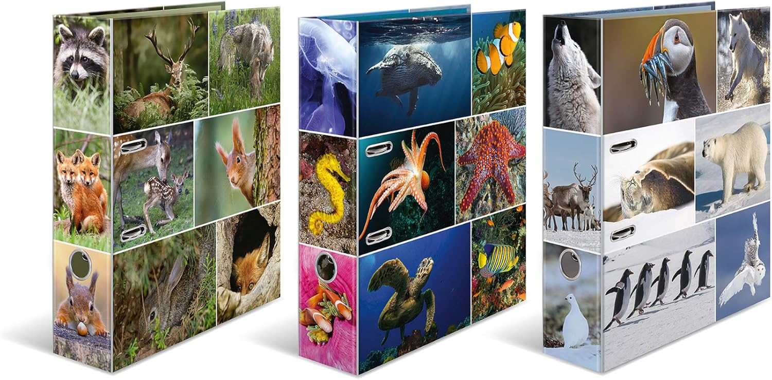 Raccoglitore A4 HERMA Con Fiori Di Ciliegio - Larghezza 7 Cm - Foto 2