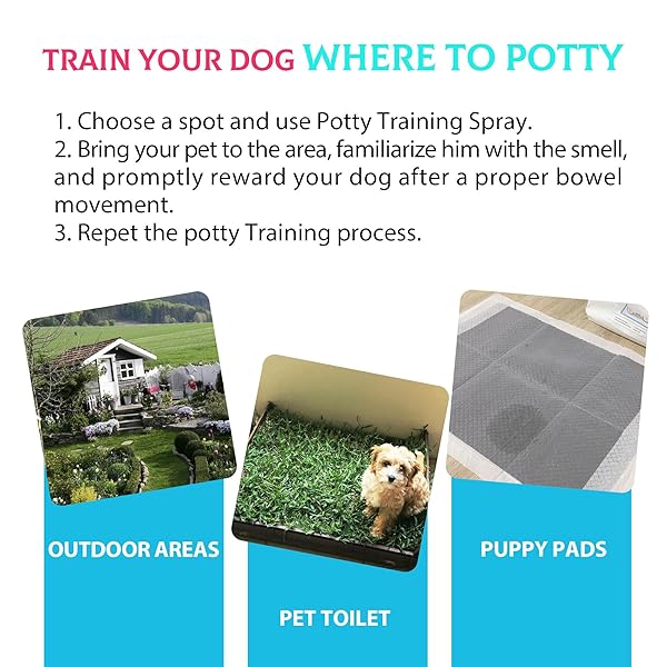 PETSTORAL DOG NOT HERE & HERE POTTY TRAINING SPRAY KIT, PUPPY ESSENTIALS. PEE HERE CORRECTOR SPRAY, PREVENT YOUR PET FROM SOILING THE CARPET. CITRUS AND MINT, 1.69 FL OZ EACHAL