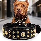 Genuine Leather Dog Collar 2.2 in Wide for Large Dogs Heavy Duty, BK-GD-M | Handcrafted,Stainless Steel Buckle and Alloy Studded,Soft Padded,Fashionable Daily Wear for Large Giant Breed,19.5-23.5 in