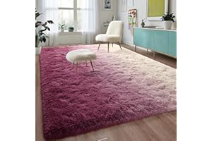 DweIke Shag Area Rug, 5x8 Ft Gradient White Dark Pink Rug Indoor Ultra Soft Plush Carpets for Living Room and Bedroom, Non-Slip, Plush High Pile Fuzzy Rugs for Girls Kids Room Bedroom Nursery Decor