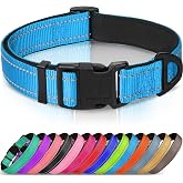 Joytale Reflective Dog Collar, Adjustable Neoprene Padded, Sky Blue XS | Breathable Nylon for Puppies and Small Breeds, No Chafing on Walks and Indoor Training, Light Metal D-Ring, Night Safety