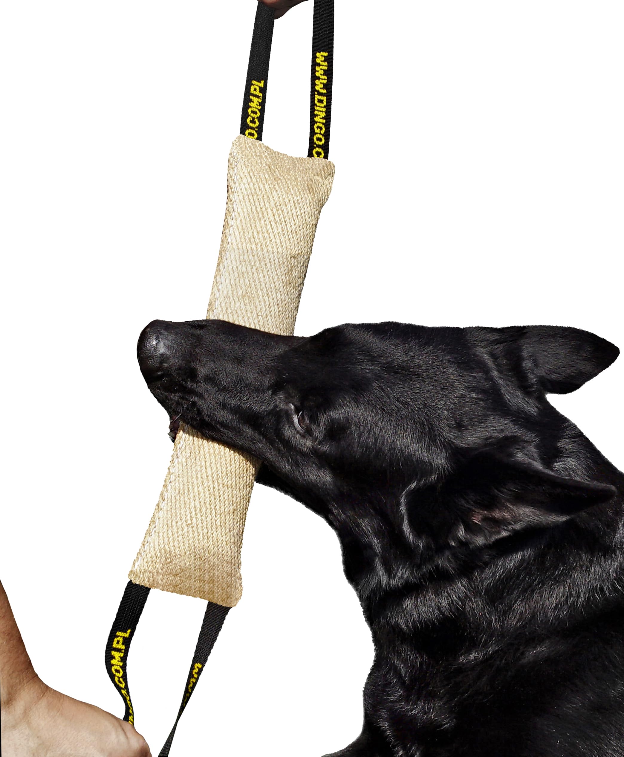 DINGO Jute Tug Toy Strong 2 Handles Pull Rope for Dog Training, Retrieve, Bite Work, Prey Drive, Tug of War, Fun, Handmade Dummy 60 cm Natural Colour 10554-2