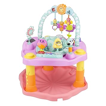 pink and purple exersaucer