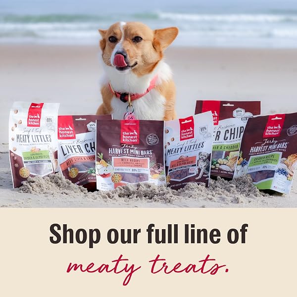 THE HONEST KITCHEN HUMAN GRADE DOG TREATS SURF & TURF MEATY LITTLES: BEEF & SALMON RECIPE, 4 OZ BAG