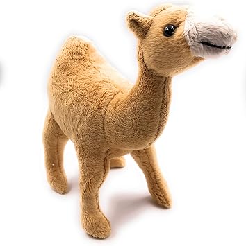 Dromadaire peluche Clearance