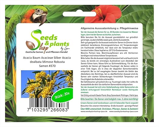20 Arbol De Acacia Semillas De Mimosa Robusta Acacieae Plata Acacia Dealbata 370 Amazon Es Jardin