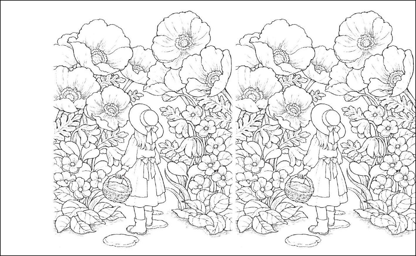 新装版 わたしの塗り絵 Postcard Book 森の少女の物語 実用品 わたしの塗り絵post Card Book 井田千秋 本 通販 Amazon