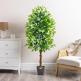 CHRISTOW Artificial Ficus Tree 5ft Lifelike PEVA Leaves Natural Wooden Trunk view 2