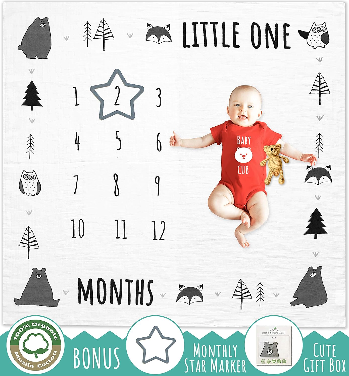 muslin milestone blanket