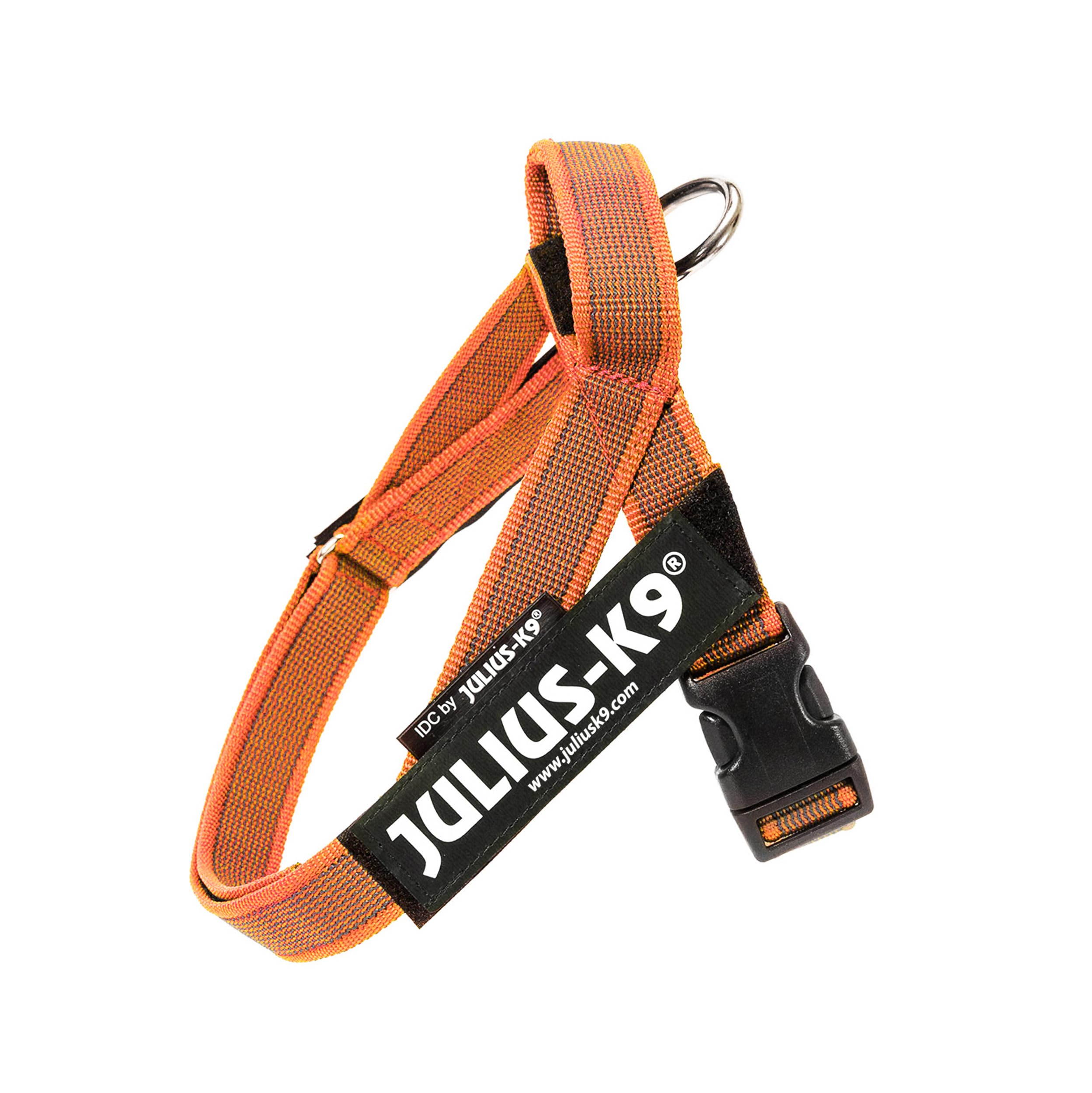 Julius-K9, IDC Color & Gray Belt Harness, Size: XS / Mini-Mini, Orange-Gray