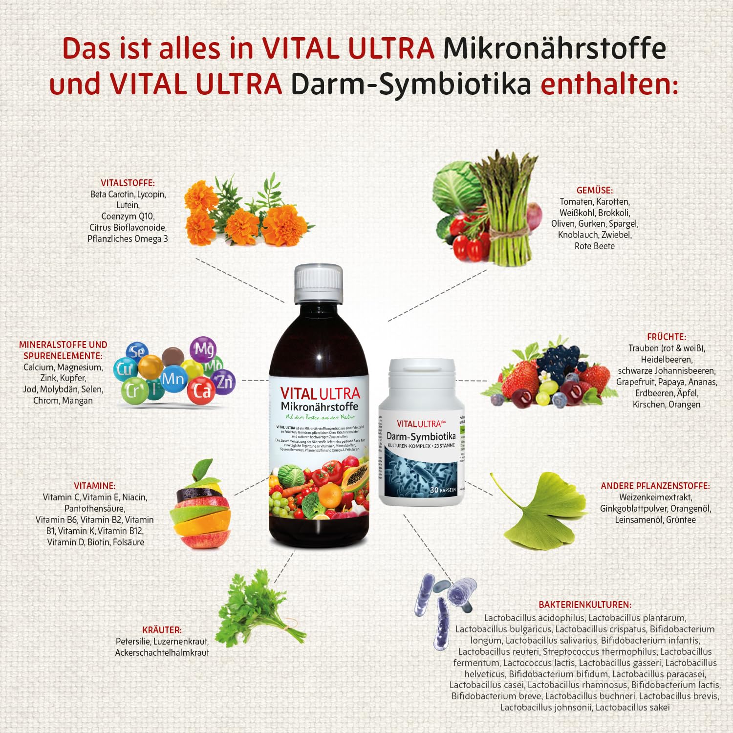 Vital Ultra – 480 ml Mikronährstoffkonzentrat & 30 vegane Kapseln Darm-Symbiotika – Vitamine, Mineralien, Spurenelemente & 23 Bakterienkulturen – hochdosiert 10 Milliarden Keime je Kapsel