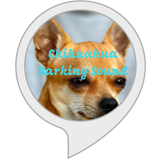 chiwawa barking