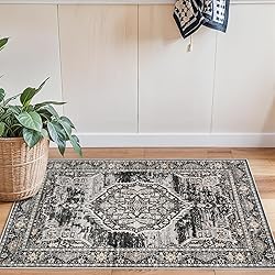 2x3 Washable Hallway Runner Rug: Oriental Indoor