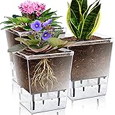 IWNTWY Self Watering Pots Set, 3 Pack 5 Inch for Indoor Plants, Clear Nursery Planter With Deep Reservoir for Spider Plant, Orchid, African Violet