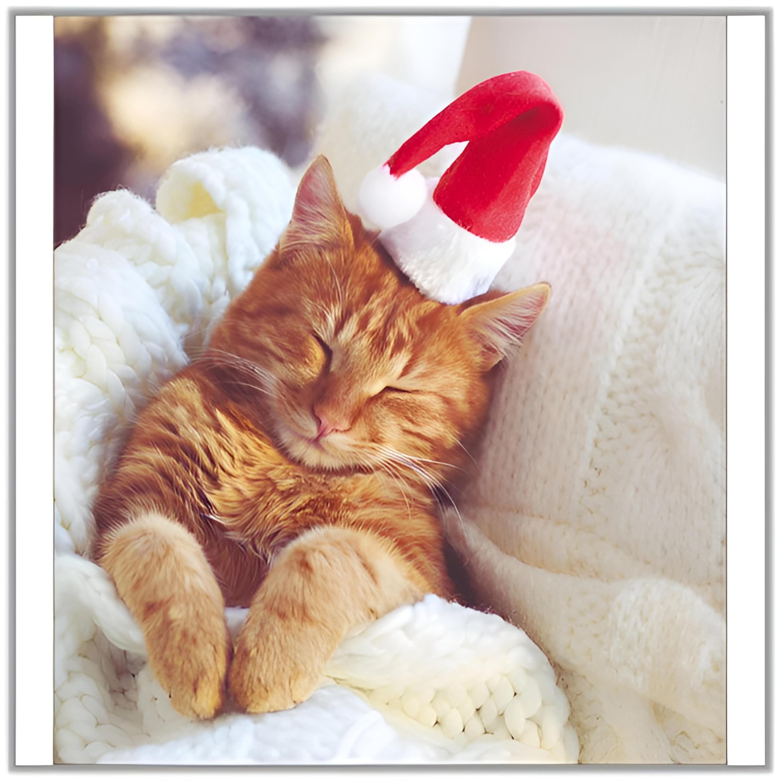 Woodmansterne Charity Christmas Cards Pack of 5 - Sleeping Festive Cat - Cute Christmas Cards Multipack - In Aid of UK Charities