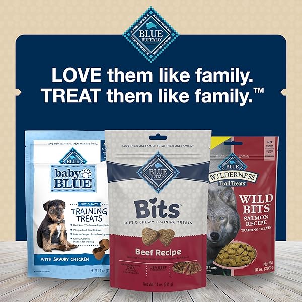 BLUE BUFFALO BITS SOFT DOG TREATS FOR TRAINING, MADE WITH NATURAL INGREDIENTS & ENHANCED WITH DHA, BEEF RECIPE, 11-OZ BAG