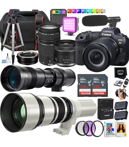 Amazon.com : Canon EOS R6 Mark II Mirrorless Camera + Canon RF 24
