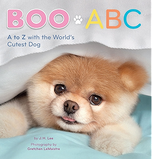 boo little dog in the big city