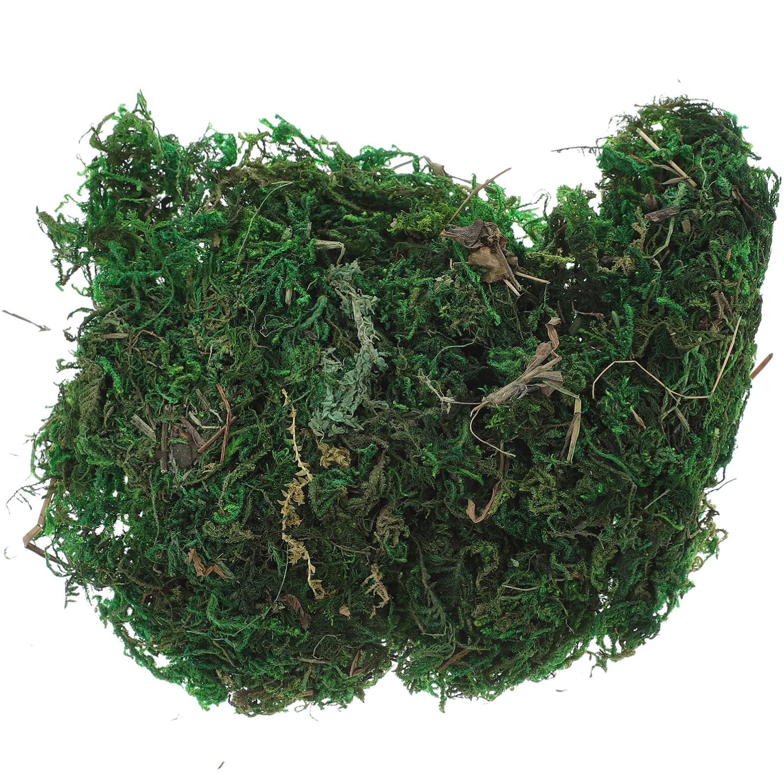 SEWACC Artificial Fake Aftificial Artificial Lichen for Plant, Garden Lawn Crafts Wedding Decor (20g/ small Pack)