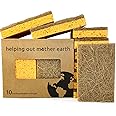 Natural Sponge 10 Pack - Eco Friendly Kitchen Sponge for Sustainable Living | Biodegradable Plant Based Cleaning Dish Sponge