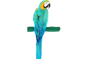 Sweet Feet and Beak Comfort Grip Safety Perch for Bird Cages - Pedicure Perch for Birds to Keep Nails and Beaks in Top Condition - Safe Easy to Install Bird Cage Accessories - L 13"
