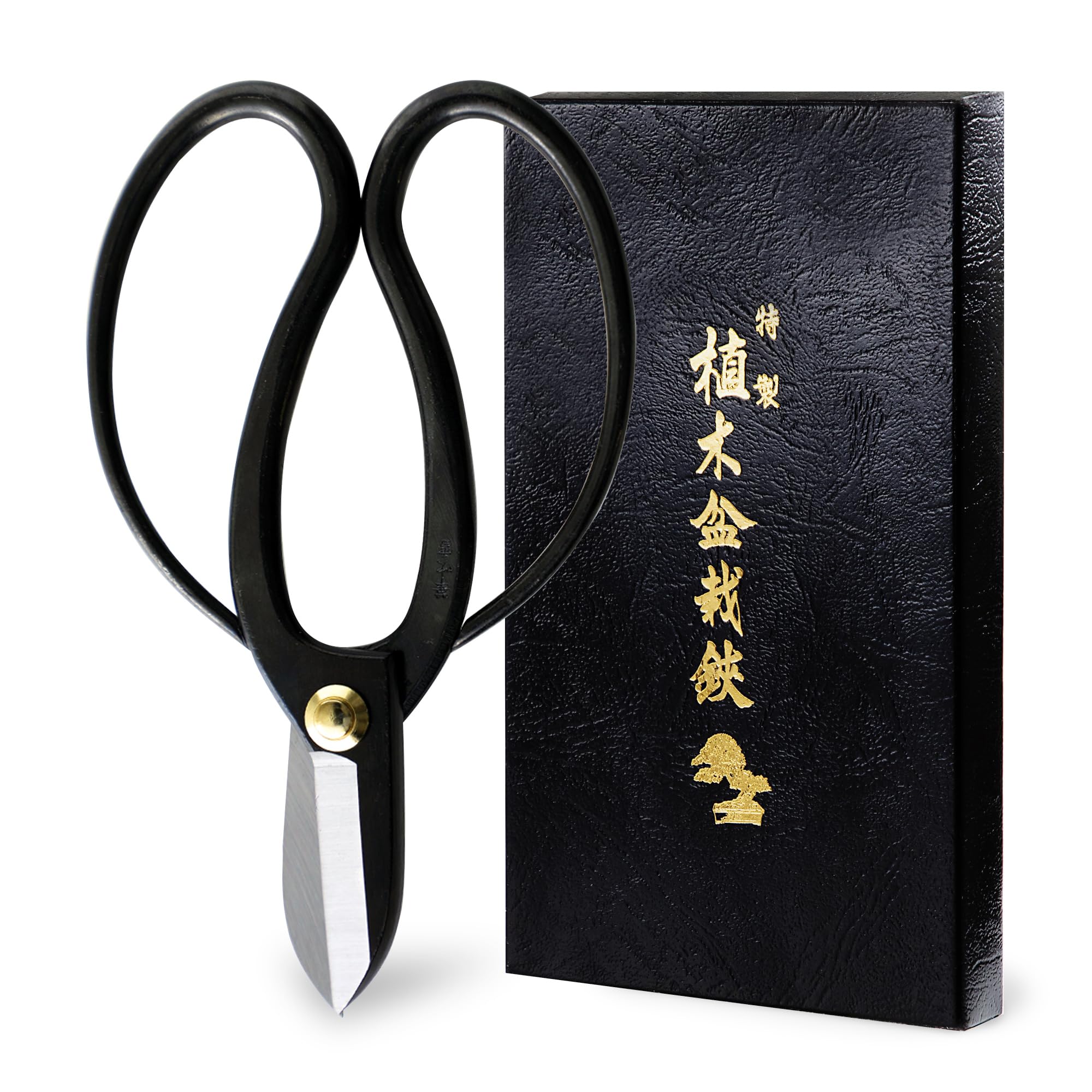 Wazakura Koryu Ikebana Floral Scissors 6.7 inches (170mm) Made in Japan - Japanese Flower Arranging Tools, Kado Hasami Shears - Black