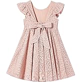 Rysly Toddler Girls Backless Flutter Sleeve Lace Party Dress Elastic Waist Bow Kid Casual Dresses