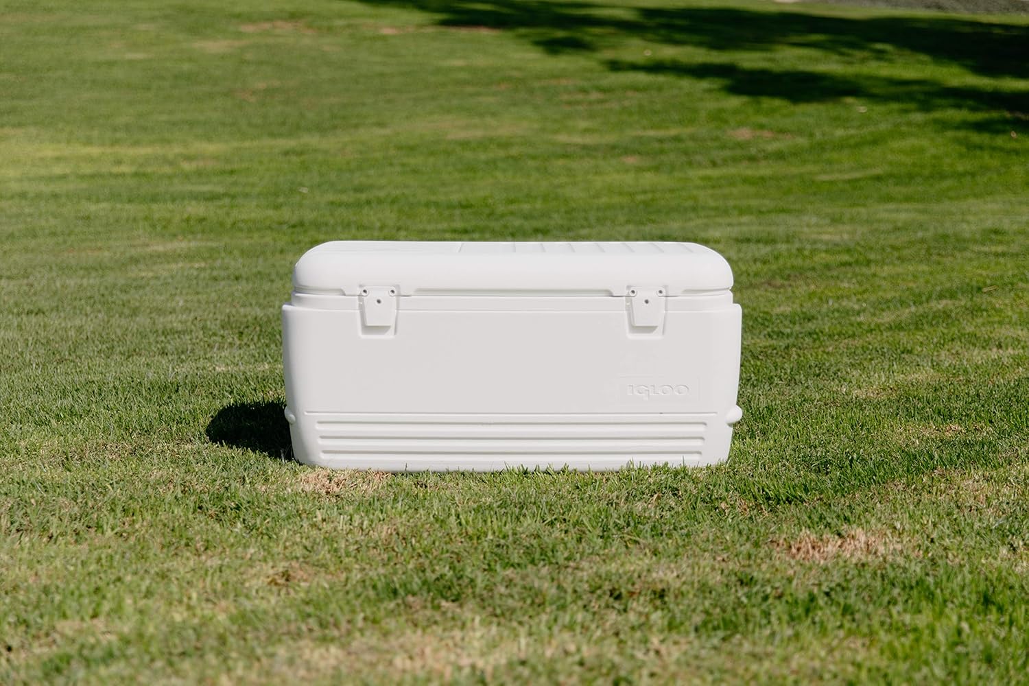 Igloo Quick and Cool 100 Qt. Cooler : Ice Chest : Sports & Outdoors
