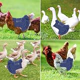 Sonhomay 3 Pack Chicken Saddle Hen Apron Wing Protector Feather Regrowth view 6