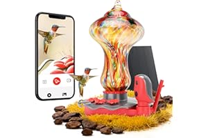 TT Nature Glass Smart Hummingbird Feeder with Camera Solar Powered 2K- AI Identify & Water Detection, Instant Notification, Leakproof & Ant Moat, Compatible with Alexa & Google Assistant