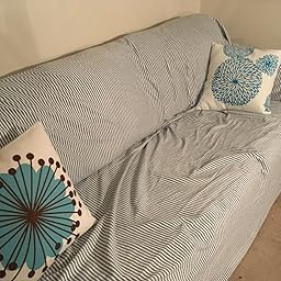 Amazon Com Customer Reviews Cleanbrands Bed Bug Allergen