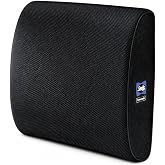 Sealy Lumbar Support Pillow for Office Chair and Car Seat - Lower Back Pain Relief, Memory Foam Lumbar Pillow &amp; Back Brace Support Posture Corrector
