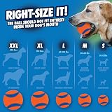 Chuckit Ultra Ball 5 cm Small 2 Pack Durable High Bounce Rubber Dog Ball view 6