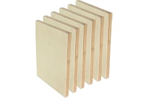 CREGUGUA 9x12 Wood Canvas for Crafts, 6-Pack Framed Wooden Panel Boards for Painting Pouring Crafts