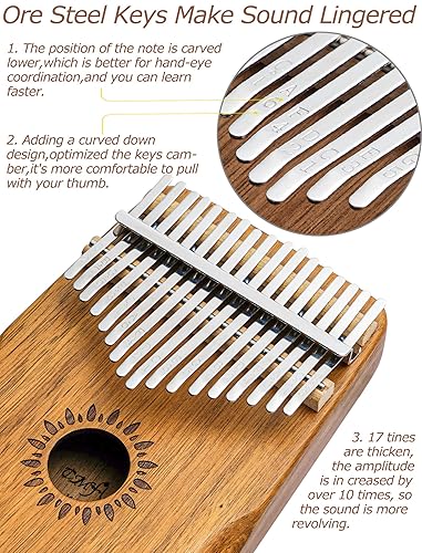 Rain Drum Kalimba Thumb Piano,YUNDIE Portable 17 Keys Mbira Finger Piano With Tune Hammer And Study Instruction,Musical Instruments Birthday Gift For Kid Adult Beginners Professional(Brown Ocarina Instrument